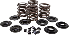 Load image into Gallery viewer, Kibblewhite Precision Valve Spring Kit 20-20450 - Main Product View