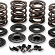 Load image into Gallery viewer, Kibblewhite Precision Valve Spring Kit 20-20850 - Main Product View