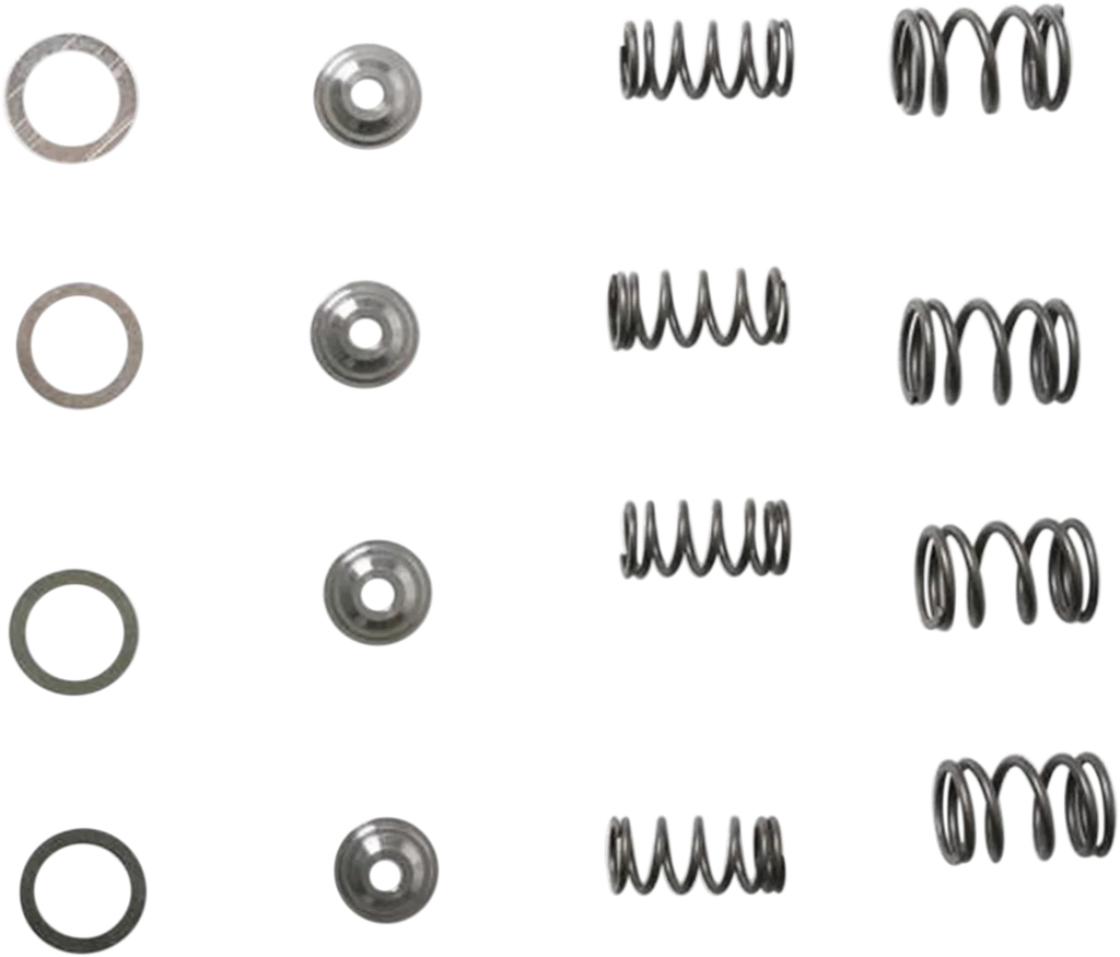 Kibblewhite Precision Valve Spring Kit 30-3041 - Main Product View