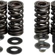 Load image into Gallery viewer, Kibblewhite Precision Valve Spring Kit 30-30880 - Main Product View