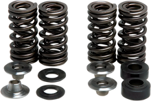 Load image into Gallery viewer, Kibblewhite Precision Valve Spring Kit 30-30880 - Main Product View