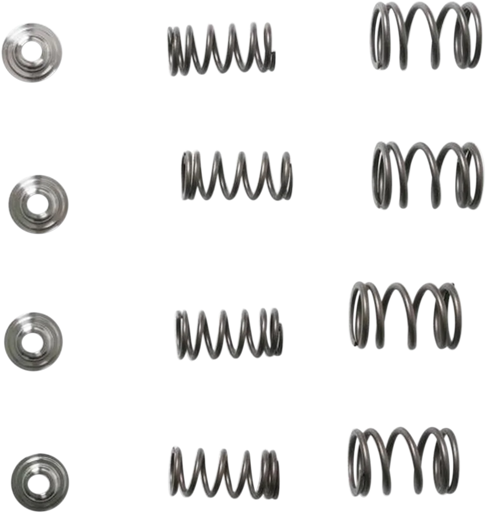 Kibblewhite Precision Valve Spring Kit 30-3111 - Main Product View