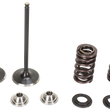 Load image into Gallery viewer, Kibblewhite Precision Valve Spring Kit 30-31580 - Main Product View