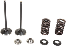 Load image into Gallery viewer, Kibblewhite Precision Valve Spring Kit 30-31580 - Main Product View