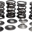 Load image into Gallery viewer, Kibblewhite Precision Valve Spring Kit 30-33650 - Main Product View