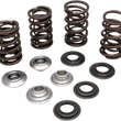 Load image into Gallery viewer, Kibblewhite Precision Valve Spring Kit 60-60280 - Main Product View