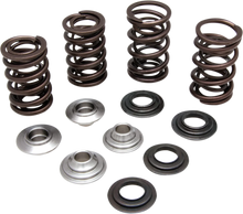 Load image into Gallery viewer, Kibblewhite Precision Valve Spring Kit 60-60280 - Main Product View