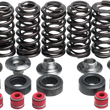 Load image into Gallery viewer, Kibblewhite Precision Valve Spring Kit 80-80100 - Main Product View