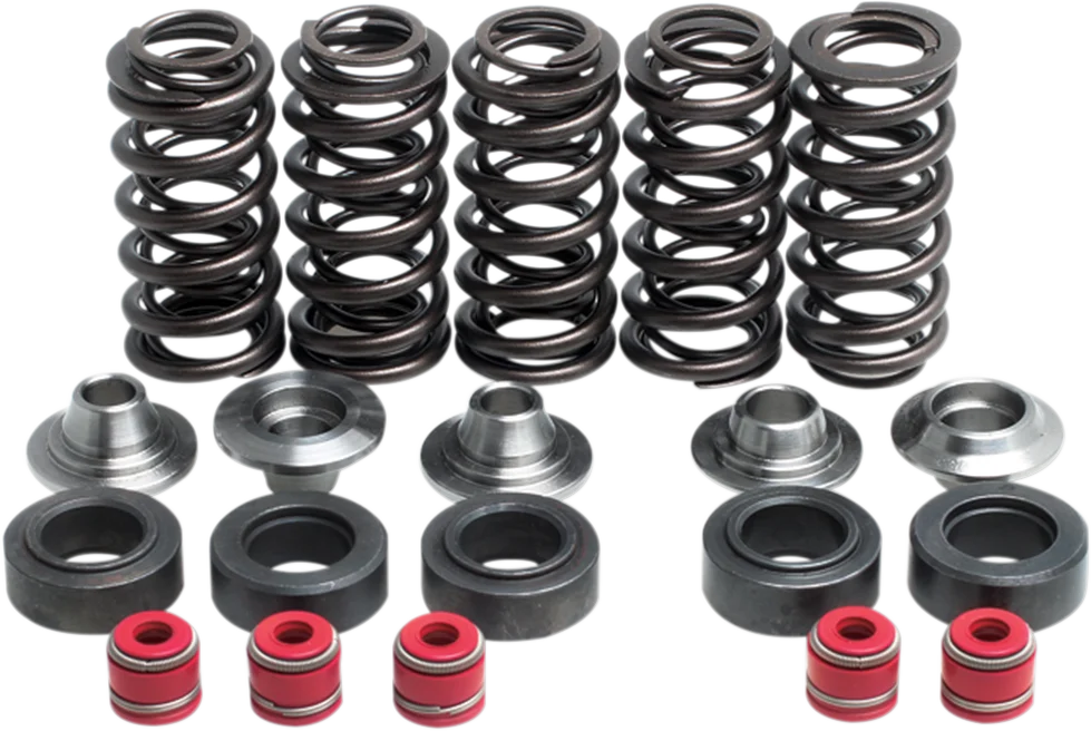 Kibblewhite Precision Valve Spring Kit 80-80100 - Main Product View