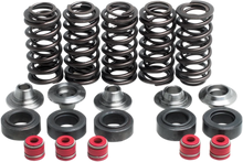 Load image into Gallery viewer, Kibblewhite Precision Valve Spring Kit 80-80100 - Main Product View