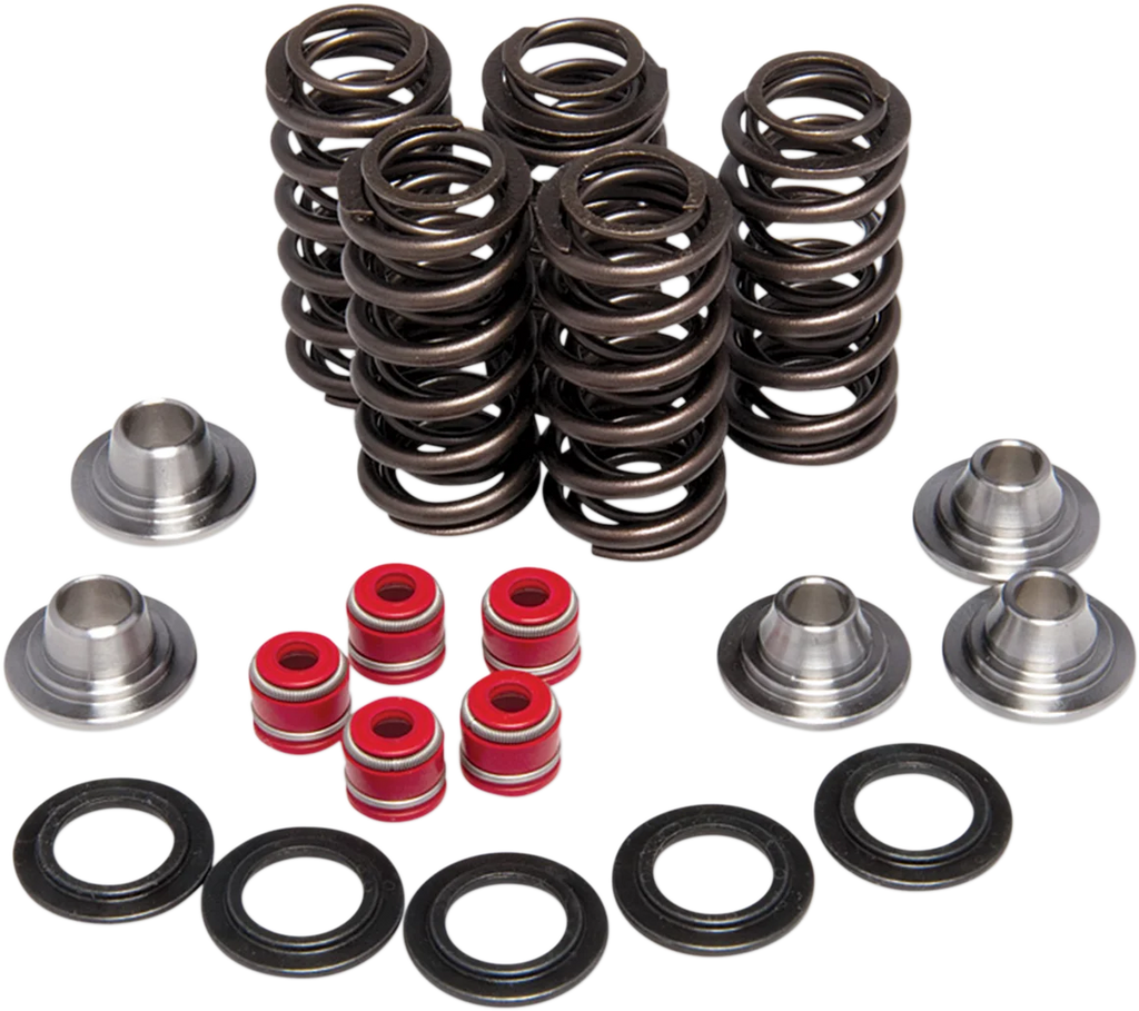 Kibblewhite Precision Valve Spring Kit 80-80206 - Main Product View