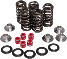 Load image into Gallery viewer, Kibblewhite Precision Valve Spring Kit 80-80206 - Main Product View
