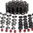 Load image into Gallery viewer, Kibblewhite Precision Valve Spring Kit 80-80250 - Main Product View