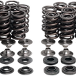 Load image into Gallery viewer, Kibblewhite Precision Valve Spring Kit 80-80250 - Side View