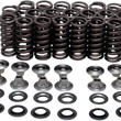 Load image into Gallery viewer, Kibblewhite Precision Valve Spring Kit 80-80500 - Main Product View