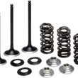 Load image into Gallery viewer, Kibblewhite Precision Valve Spring Kit 80-80850 - Main Product View