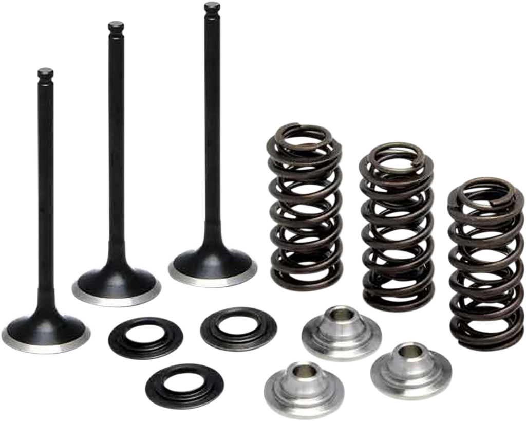 Kibblewhite Precision Valve Spring Kit 80-80850 - Main Product View