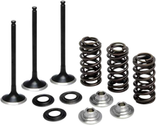 Load image into Gallery viewer, Kibblewhite Precision Valve Spring Kit 80-80850 - Main Product View