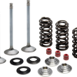 Load image into Gallery viewer, Kibblewhite Precision Valve Spring Kit 80-80950 - Main Product View