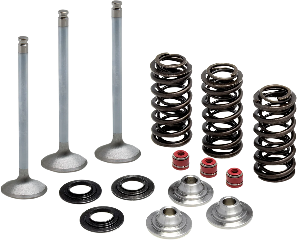 Kibblewhite Precision Valve Spring Kit 80-80950 - Main Product View