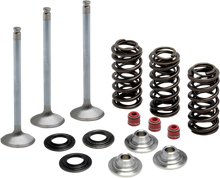 Load image into Gallery viewer, Kibblewhite Precision Valve Spring Kit 80-80950 - Main Product View