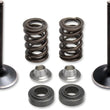Load image into Gallery viewer, Kibblewhite Precision Valve Spring Kit 80-81100 - Main Product View
