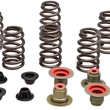 Load image into Gallery viewer, Kibblewhite Precision Valve Spring Kit 82-82550 - Main Product View