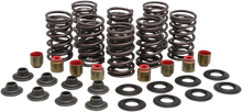 Load image into Gallery viewer, Kibblewhite Precision Valve Spring Kit 82-83000 - Main Product View