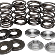 Load image into Gallery viewer, Kibblewhite Precision Valve Spring Kit 90-9034 - Main Product View