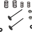 Load image into Gallery viewer, Kibblewhite Precision Valve Spring Kit 96-96450 - Main Product View
