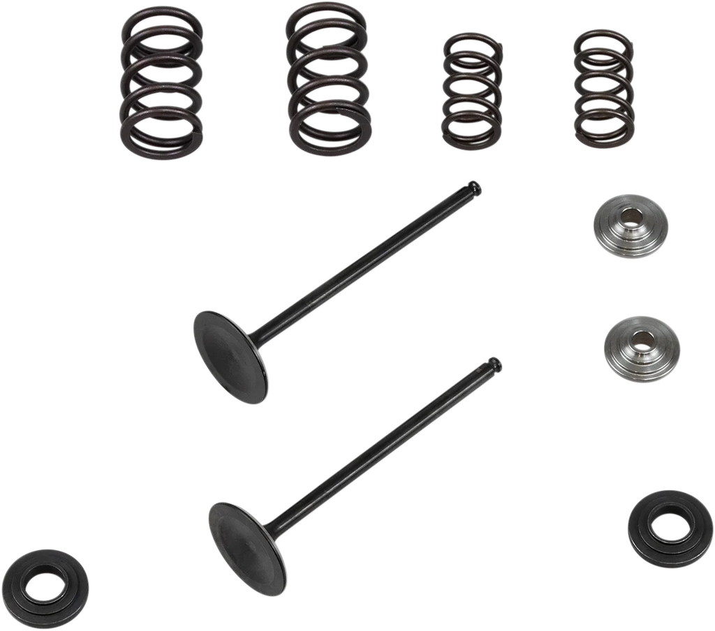 Kibblewhite Precision Valve Spring Kit 96-96450 - Main Product View