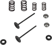 Load image into Gallery viewer, Kibblewhite Precision Valve Spring Kit 96-96450 - Main Product View