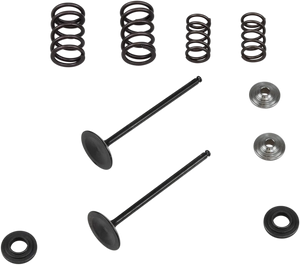 Kibblewhite Precision Valve Spring Kit 96-96450 - Main Product View
