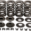 Load image into Gallery viewer, Kibblewhite Precision Valve Spring Kit - Big Twin 20-20132 - Main Product View