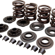 Load image into Gallery viewer, Kibblewhite Precision Valve Spring Kit - XL 20-20440 - Main Product View