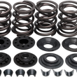 Load image into Gallery viewer, Kibblewhite Precision Valve Spring Kit - XL 20-2210 - Main Product View