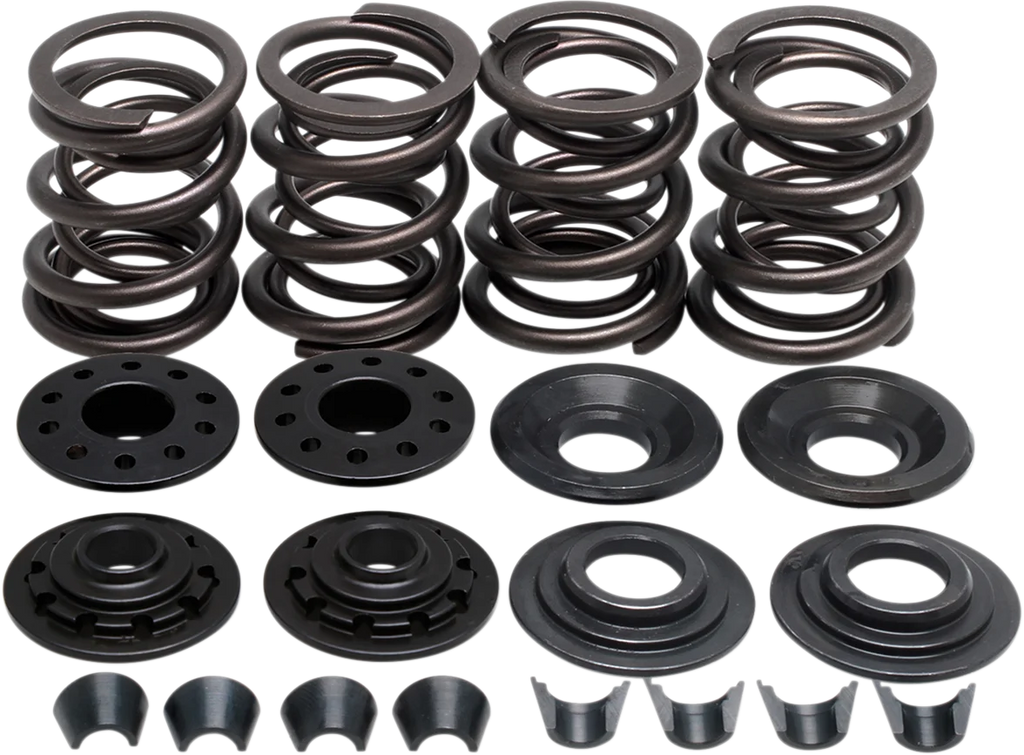 Kibblewhite Precision Valve Spring Kit - XL 20-2210 - Main Product View