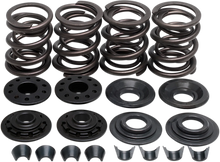 Load image into Gallery viewer, Kibblewhite Precision Valve Spring Kit - XL 20-2210 - Main Product View