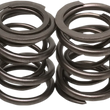 Load image into Gallery viewer, Kibblewhite Precision Valve Springs - Big Twin 20-2000 - Main Product View