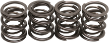 Load image into Gallery viewer, Kibblewhite Precision Valve Springs - Big Twin 20-2000 - Main Product View