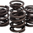Load image into Gallery viewer, Kibblewhite Precision Valve Springs - XL 20-2215 - Main Product View