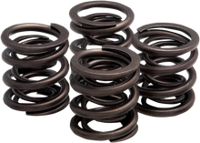 Load image into Gallery viewer, Kibblewhite Precision Valve Springs - XL 20-2215 - Main Product View