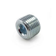 Load image into Gallery viewer, Killer B 1/2in NPT Chrome Plated Steel Plug