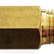 Load image into Gallery viewer, Kleinn Inline Check Valve - 1/4In F NPT to 1/4In M NPT - Main Product View
