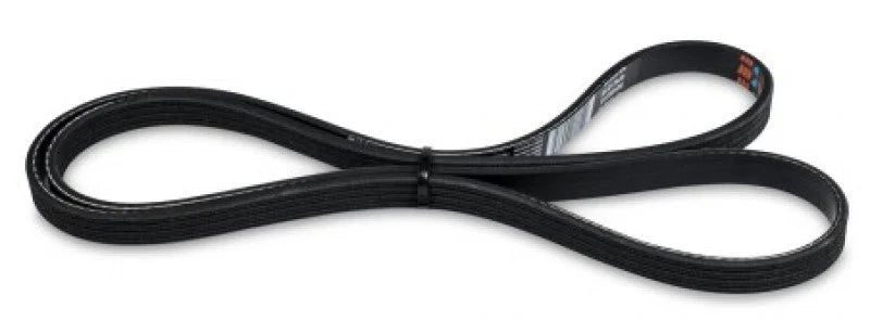 KraftWerks 94-05 Mazda Miata Replacement Belt - Side View