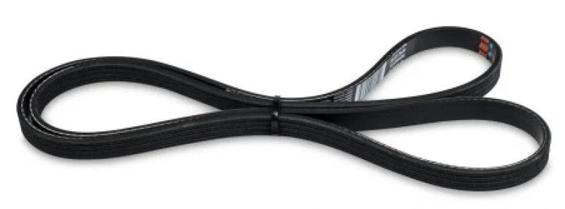 KraftWerks 94-05 Mazda Miata Replacement Belt - Side View