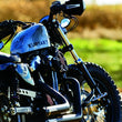 Load image into Gallery viewer, Kuryakyn Dillinger Pegs With Male Mount Adapter Silver - Back View