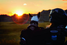 Load image into Gallery viewer, Kuryakyn Grand Pet Palace - Additional View 7