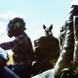 Load image into Gallery viewer, Kuryakyn Grand Pet Palace - Additional View 8