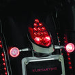 Load image into Gallery viewer, Kuryakyn Rear Turn Signal &amp; License Plate Mount Indian Chrome - Back View